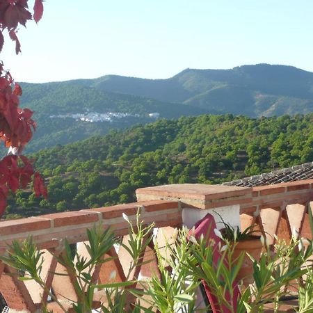 Cartajima Hotel Los Castanos (Adults Only) מראה חיצוני תמונה
