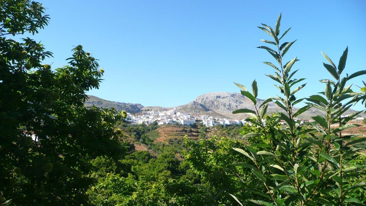 Cartajima Hotel Los Castanos (Adults Only) מראה חיצוני תמונה